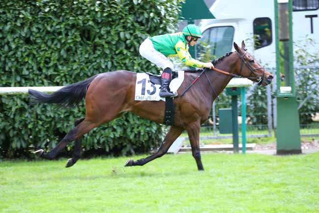 Photo d'arrivée de la course pmu PRIX DU POTAGER DES PRINCES à CHANTILLY le Samedi 11 mai 2019