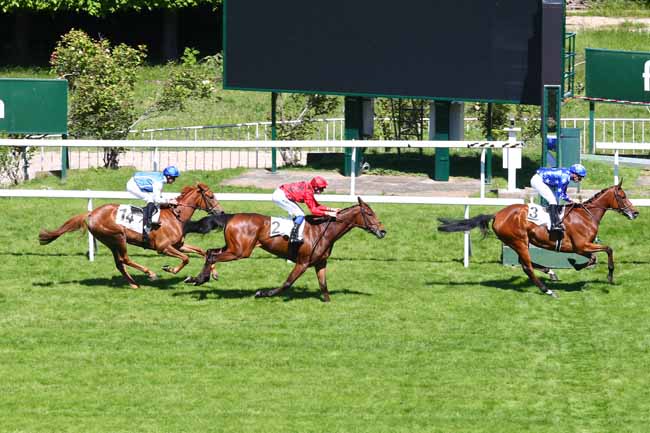 Photo d'arrivée de la course pmu PRIX PRODUCER à SAINT-CLOUD le Lundi 13 mai 2019