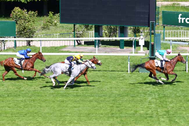 Photo d'arrivée de la course pmu PRIX PERRUCHE BLEUE à SAINT-CLOUD le Lundi 13 mai 2019