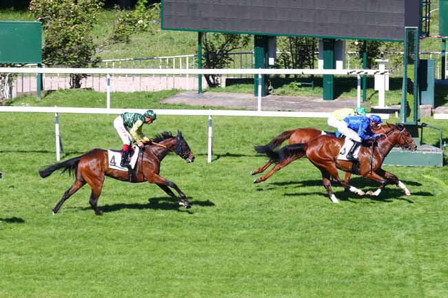 Photo d'arrivée de la course pmu PRIX DU HARAS DE LA CELLE-SAINT-CLOUD à SAINT-CLOUD le Lundi 13 mai 2019
