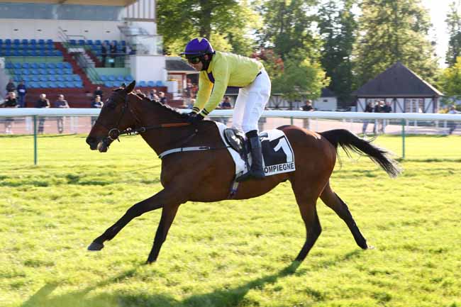Photo d'arrivée de la course pmu PRIX DU MORBIHAN à COMPIEGNE le Mardi 14 mai 2019