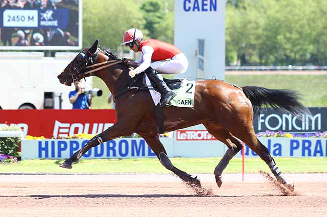 Photo d'arrivée de la course pmu PRIX DU CALVADOS à CAEN le Mercredi 15 mai 2019