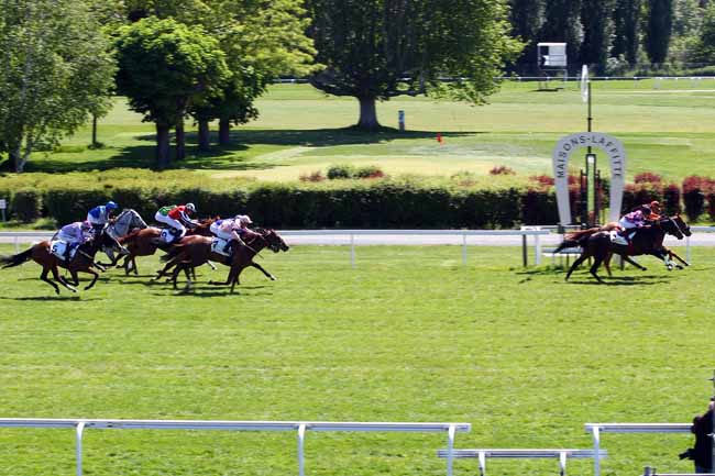 Photo d'arrivée de la course pmu PRIX DU VESINET à MAISONS-LAFFITTE le Mercredi 15 mai 2019