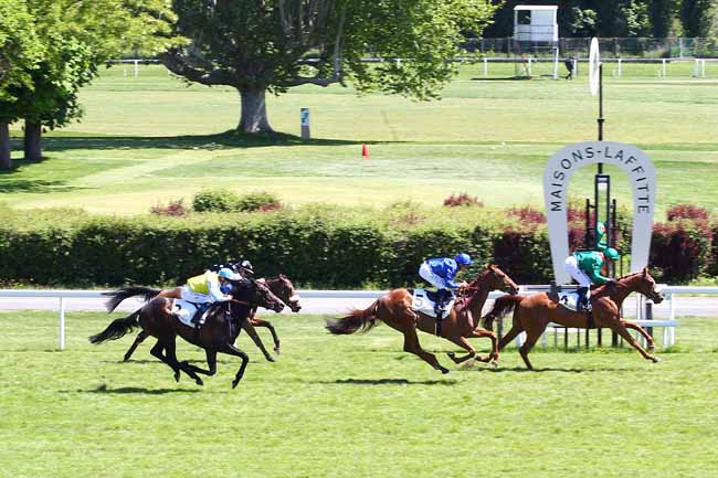 Photo d'arrivée de la course pmu PRIX NOBILIARY à MAISONS-LAFFITTE le Mercredi 15 mai 2019