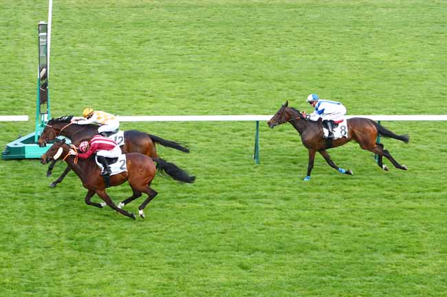 Photo d'arrivée de la course pmu PRIX D'EVREUX à LONGCHAMP le Jeudi 16 mai 2019