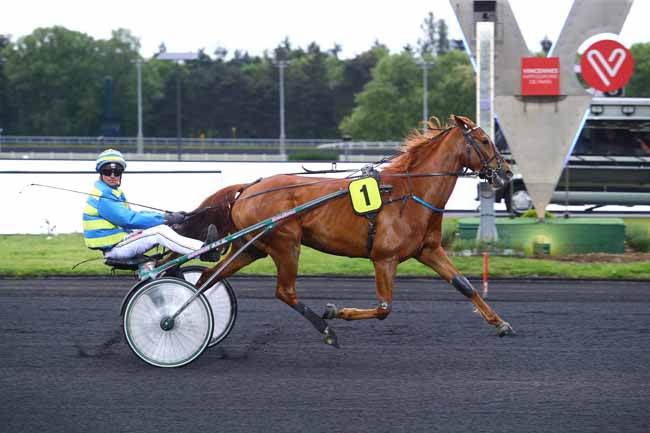 Photo d'arrivée de la course pmu PRIX ARA à PARIS-VINCENNES le Vendredi 17 mai 2019