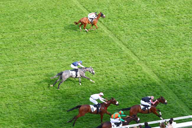 Photo d'arrivée de la course pmu PRIX PRETENTAINE à AUTEUIL le Samedi 18 mai 2019