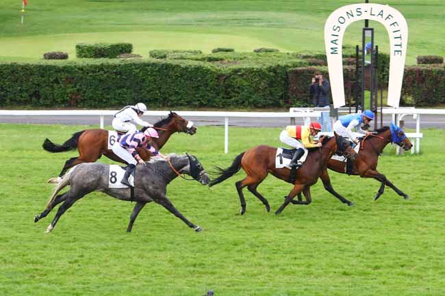 Photo d'arrivée de la course pmu PRIX DE ROLLEBOISE à MAISONS-LAFFITTE le Mardi 21 mai 2019