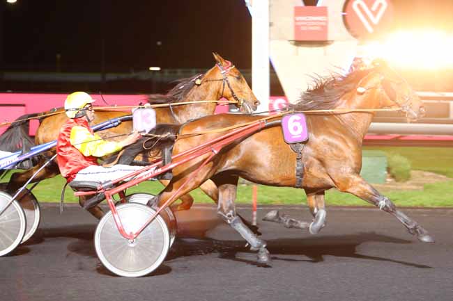 Photo d'arrivée de la course pmu PRIX GEORGES COURTOIS à PARIS-VINCENNES le Mardi 21 mai 2019