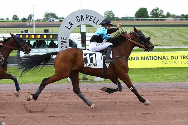 Photo d'arrivée de la course pmu PRIX CREDIT AGRICOLE DU NORD-EST à LA CAPELLE le Mercredi 22 mai 2019