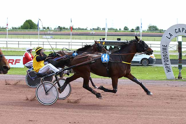 Photo d'arrivée de la course pmu GRAND NATIONAL DES AMATEURS à LA CAPELLE le Mercredi 22 mai 2019