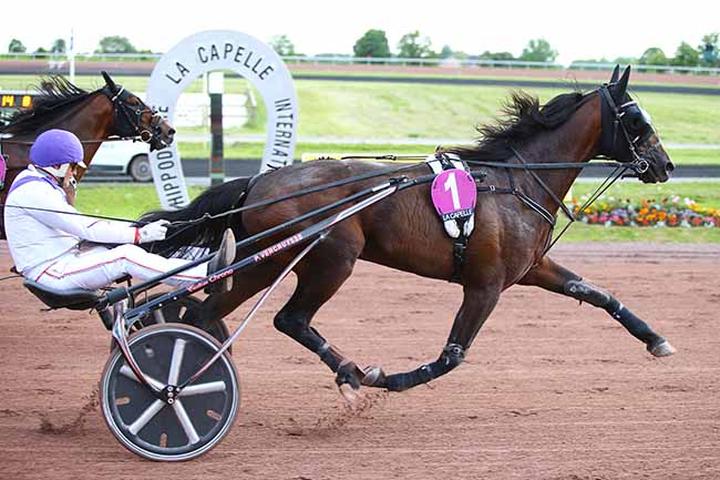 Photo d'arrivée de la course pmu PRIX DE LA VILLE DE GUISE à LA CAPELLE le Mercredi 22 mai 2019