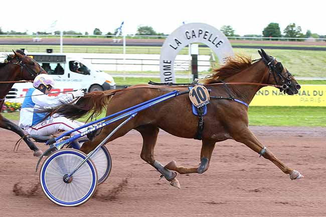 Photo d'arrivée de la course pmu PRIX MARCHE DU TERROIR DE LA THIERACHE à LA CAPELLE le Mercredi 22 mai 2019