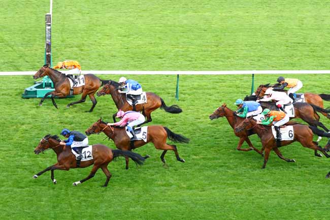 Photo d'arrivée de la course pmu PRIX DES BATIGNOLLES à LONGCHAMP le Jeudi 23 mai 2019
