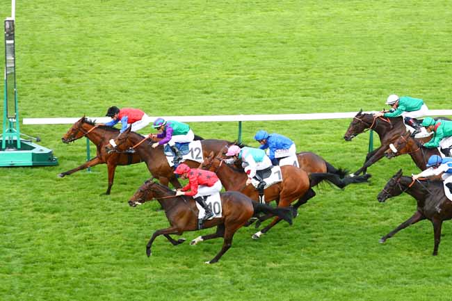 Photo d'arrivée de la course pmu PRIX DU MUSEE RODIN à LONGCHAMP le Jeudi 23 mai 2019