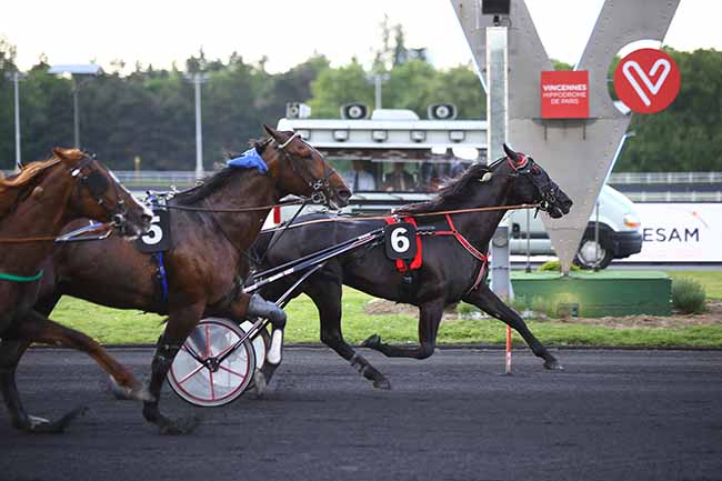 Photo d'arrivée de la course pmu PRIX DU CREPUSCULE à PARIS-VINCENNES le Vendredi 24 mai 2019