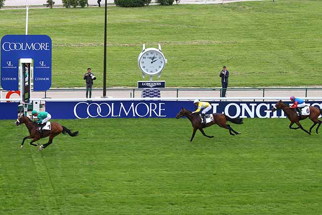 Photo d'arrivée de la course pmu PRIX DE VIROFLAY à LONGCHAMP le Dimanche 26 mai 2019