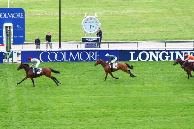 Photo d'arrivée de la course pmu PRIX DE L'ILE SAINT-LOUIS à LONGCHAMP le Dimanche 26 mai 2019