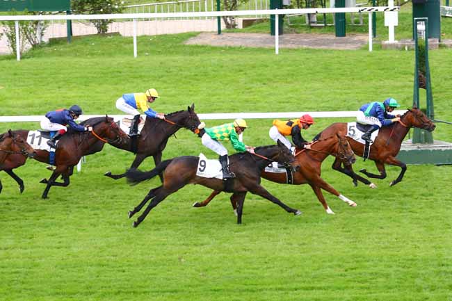 Photo d'arrivée de la course pmu PRIX DU TRIANGLE DE ROCQUENCOURT à SAINT-CLOUD le Lundi 27 mai 2019