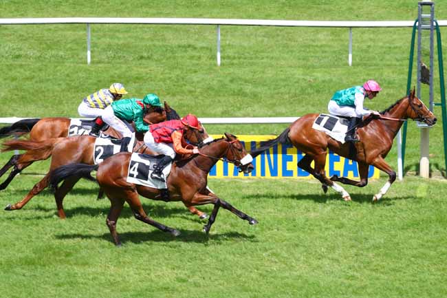 Photo d'arrivée de la course pmu PRIX DU ROCHER DE BOULIGNY à FONTAINEBLEAU le Mercredi 29 mai 2019