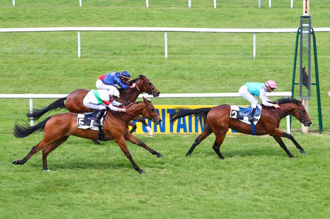 Photo d'arrivée de la course pmu PRIX MARQUES ET DOMAINES FONTAINEBLEAU à FONTAINEBLEAU le Mercredi 29 mai 2019