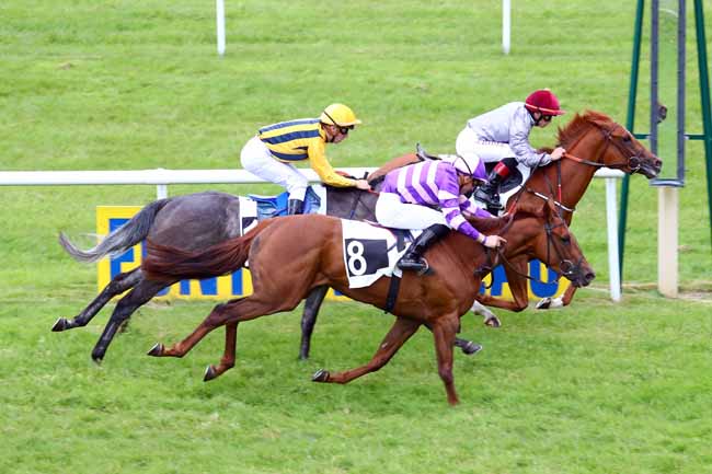 Photo d'arrivée de la course pmu PRIX DE LA GROTTE AUX CRISTAUX à FONTAINEBLEAU le Mercredi 29 mai 2019