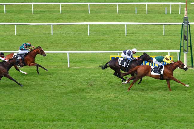 Photo d'arrivée de la course pmu PRIX DE LA MARE AUX FEES à FONTAINEBLEAU le Mercredi 29 mai 2019