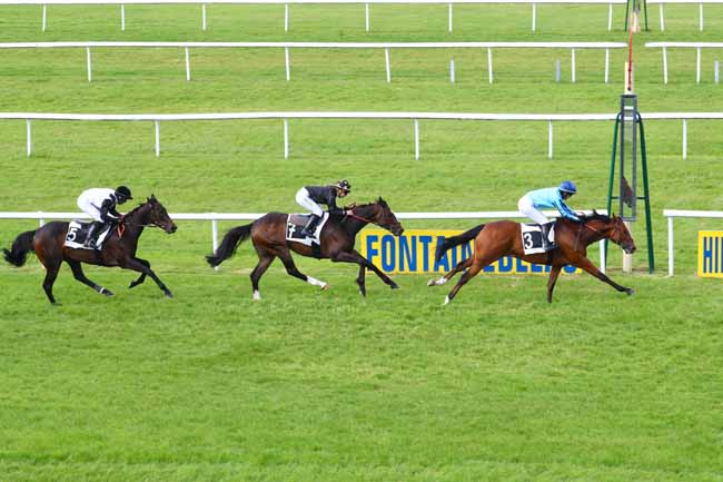 Photo d'arrivée de la course pmu PRIX DES CHARMES à FONTAINEBLEAU le Mercredi 29 mai 2019