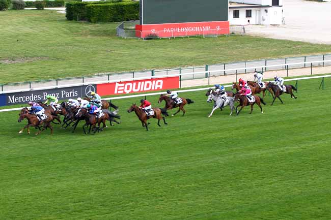 Photo d'arrivée de la course pmu PRIX DU PETIT BOIS à LONGCHAMP le Jeudi 30 mai 2019