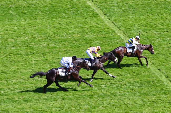 Photo d'arrivée de la course pmu PRIX ROCKING CHAIR à AUTEUIL le Samedi 1 juin 2019