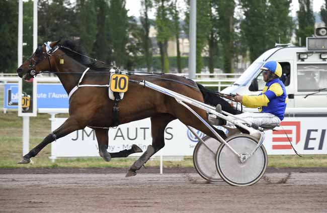 Photo d'arrivée de la course pmu PRIX DE LA SOLOGNE à VICHY le Mardi 4 juin 2019