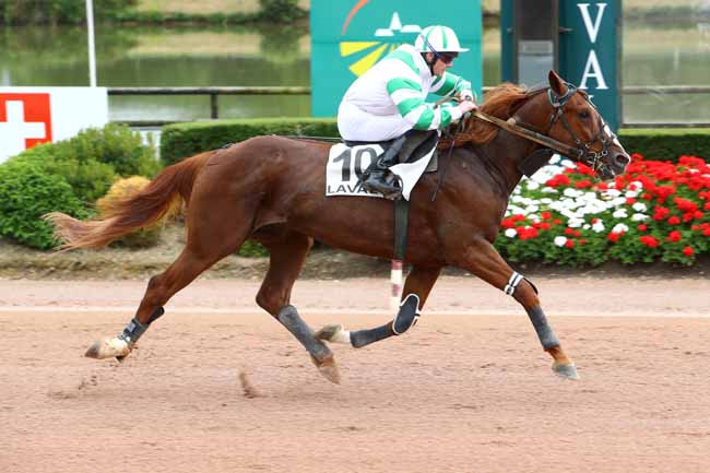 Photo d'arrivée de la course pmu PRIX DU CONSEIL REGIONAL DES PAYS DE LOIRE à LAVAL le Mercredi 5 juin 2019