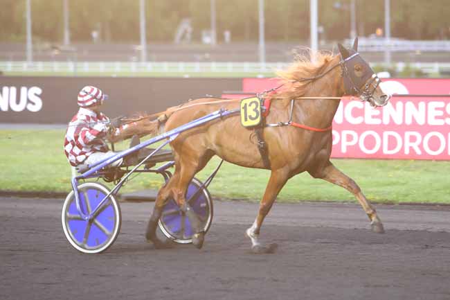 Photo d'arrivée de la course pmu PRIX CYGNUS à PARIS-VINCENNES le Vendredi 7 juin 2019