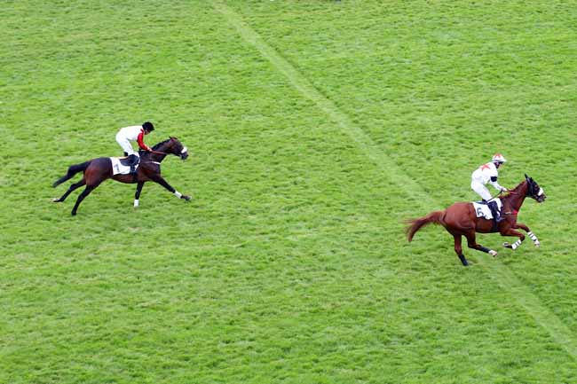 Photo d'arrivée de la course pmu PRIX AGUADO à AUTEUIL le Dimanche 9 juin 2019