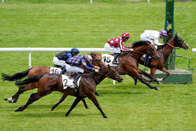 Photo d'arrivée de la course pmu PRIX DE LA MONTAGNE CHERIE à SAINT-CLOUD le Mercredi 12 juin 2019