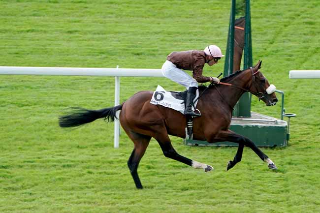 Photo d'arrivée de la course pmu PRIX CHAPEAU ROUGE à SAINT-CLOUD le Mercredi 12 juin 2019