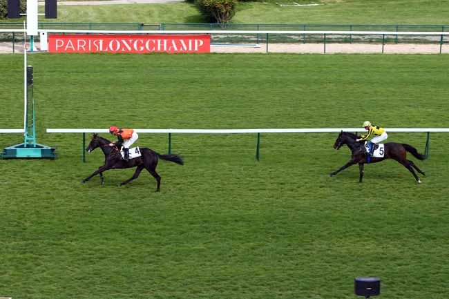 Photo d'arrivée de la course pmu PRIX DU BASSIN PARISIEN à LONGCHAMP le Jeudi 13 juin 2019