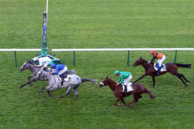 Photo d'arrivée de la course pmu PRIX RIDGWAY à LONGCHAMP le Jeudi 13 juin 2019