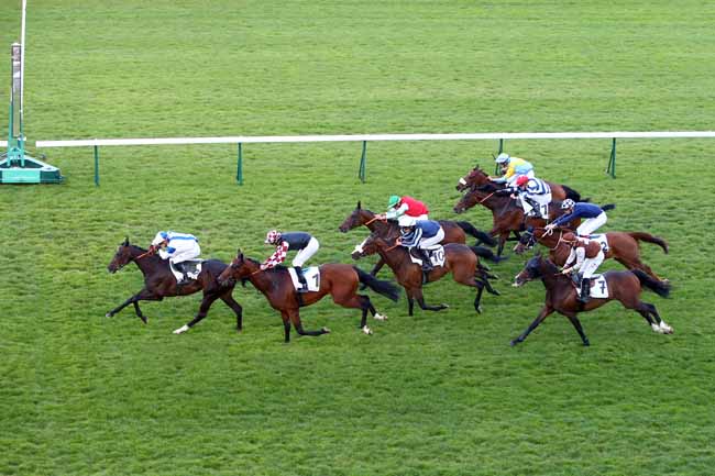 Photo d'arrivée de la course pmu PRIX DES CENTAURES à LONGCHAMP le Jeudi 13 juin 2019