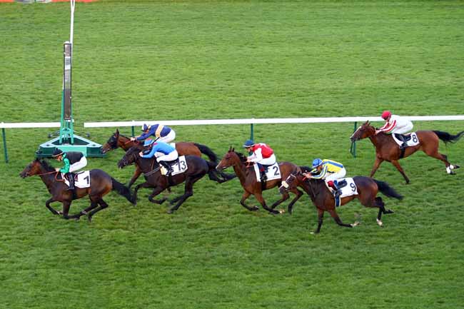 Photo d'arrivée de la course pmu PRIX DES LOTUS à LONGCHAMP le Jeudi 13 juin 2019