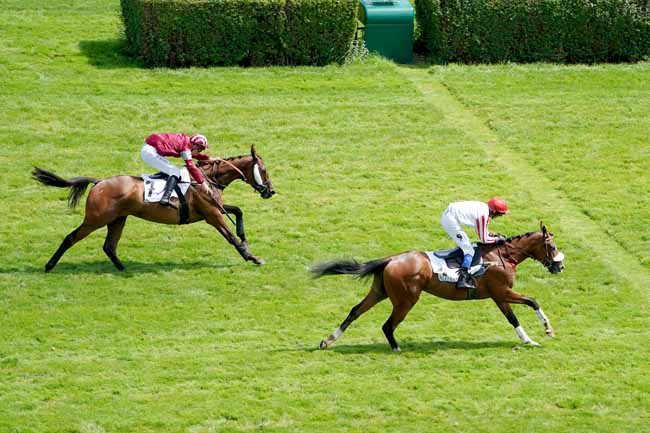 Photo d'arrivée de la course pmu PRIX COLOMBELLES à AUTEUIL le Vendredi 14 juin 2019