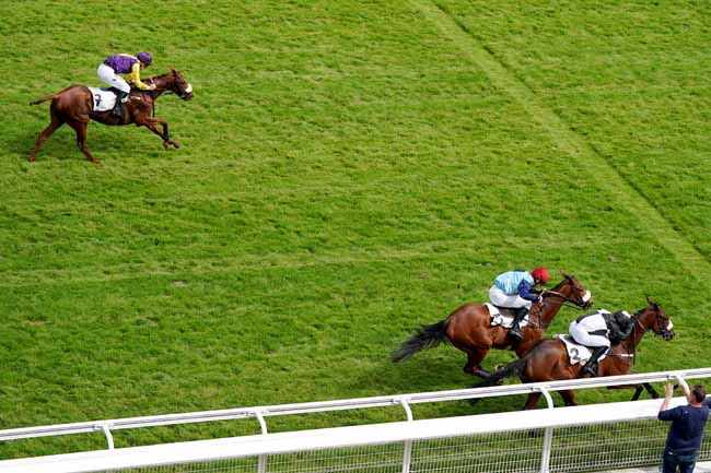 Photo d'arrivée de la course pmu PRIX D. LESCALLE à AUTEUIL le Vendredi 14 juin 2019