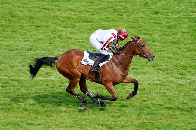 Photo d'arrivée de la course pmu PRIX CARMONT à AUTEUIL le Vendredi 14 juin 2019
