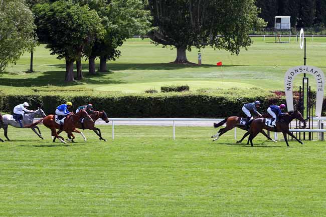 Photo d'arrivée de la course pmu PRIX DE MARCQ à MAISONS-LAFFITTE le Samedi 15 juin 2019