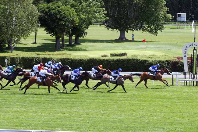 Photo d'arrivée de la course pmu PRIX DE L'OFFICE DE TOURISME DE MAISONS-LAFFITTE à MAISONS-LAFFITTE le Samedi 15 juin 2019