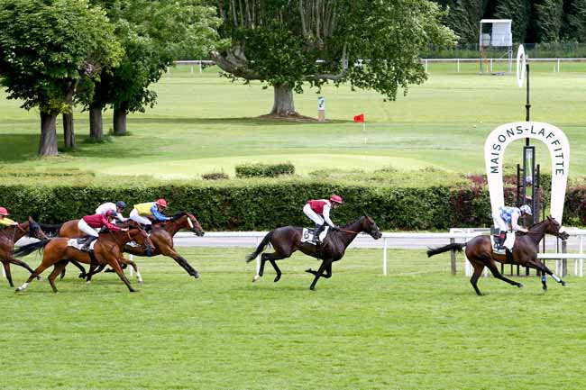 Photo d'arrivée de la course pmu PRIX D'AINCOURT à MAISONS-LAFFITTE le Samedi 15 juin 2019