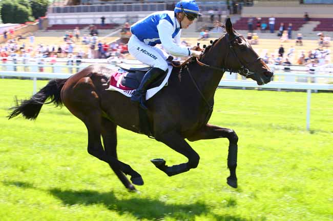 Photo d'arrivée de la course pmu PRIX LA BELLE FERRONNIERE à CLAIREFONTAINE le Lundi 17 juin 2019