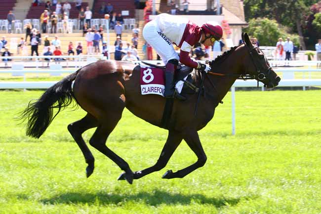 Photo d'arrivée de la course pmu PRIX COUREUSE DE NUIT à CLAIREFONTAINE le Lundi 17 juin 2019