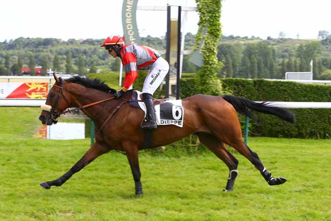 Photo d'arrivée de la course pmu PRIX BONTEMPS à DIEPPE le Mardi 18 juin 2019