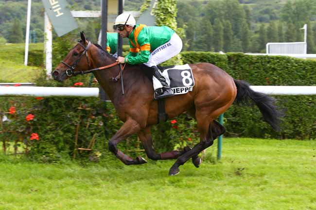 Photo d'arrivée de la course pmu PRIX  SOLDAT à DIEPPE le Mardi 18 juin 2019